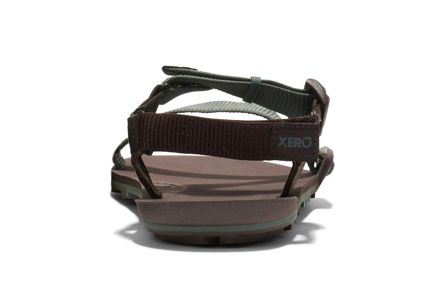 Dark Forest / Java Brown