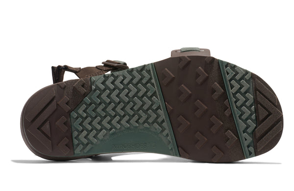 Dark Forest / Java Brown