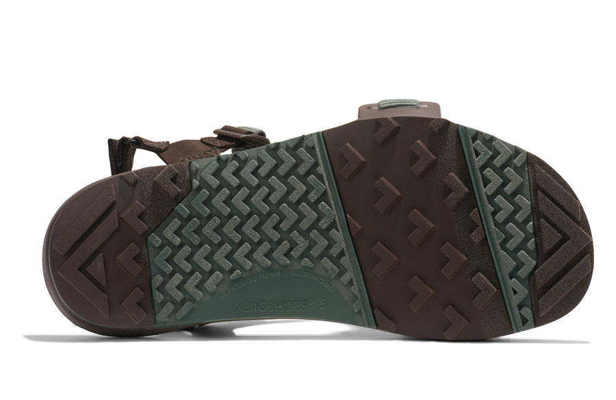 Dark Forest / Java Brown