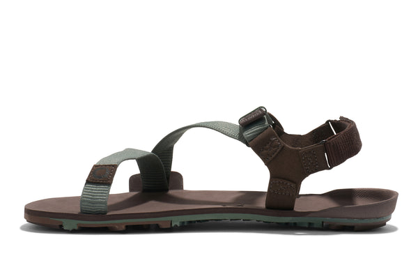 Dark Forest / Java Brown