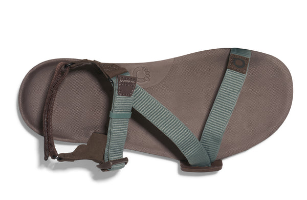 Dark Forest / Java Brown