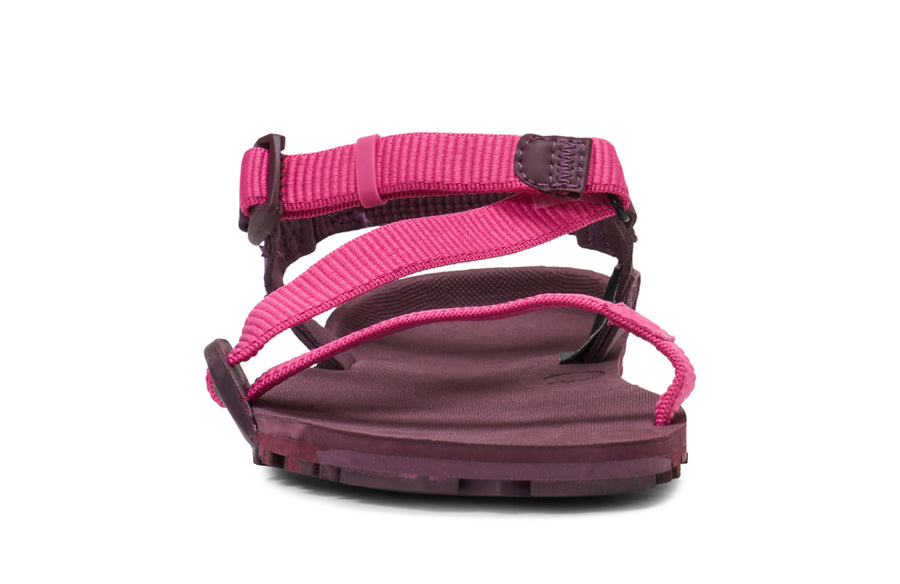 Fuchsia Purple
