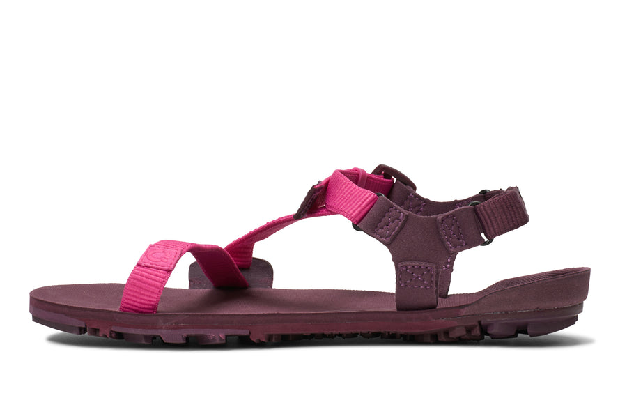 Fuchsia Purple