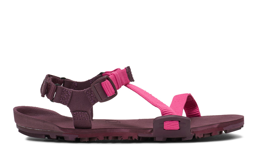 Fuchsia Purple