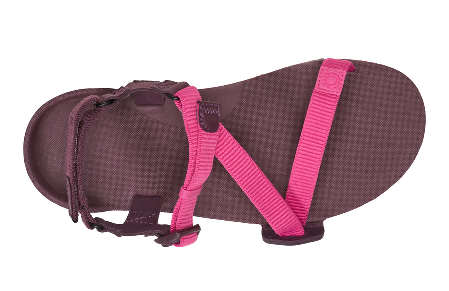 Fuchsia Purple