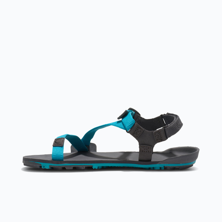 Lake Blue / Asphalt