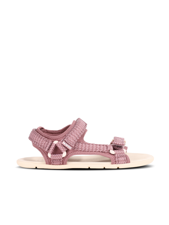 Dusty Rose