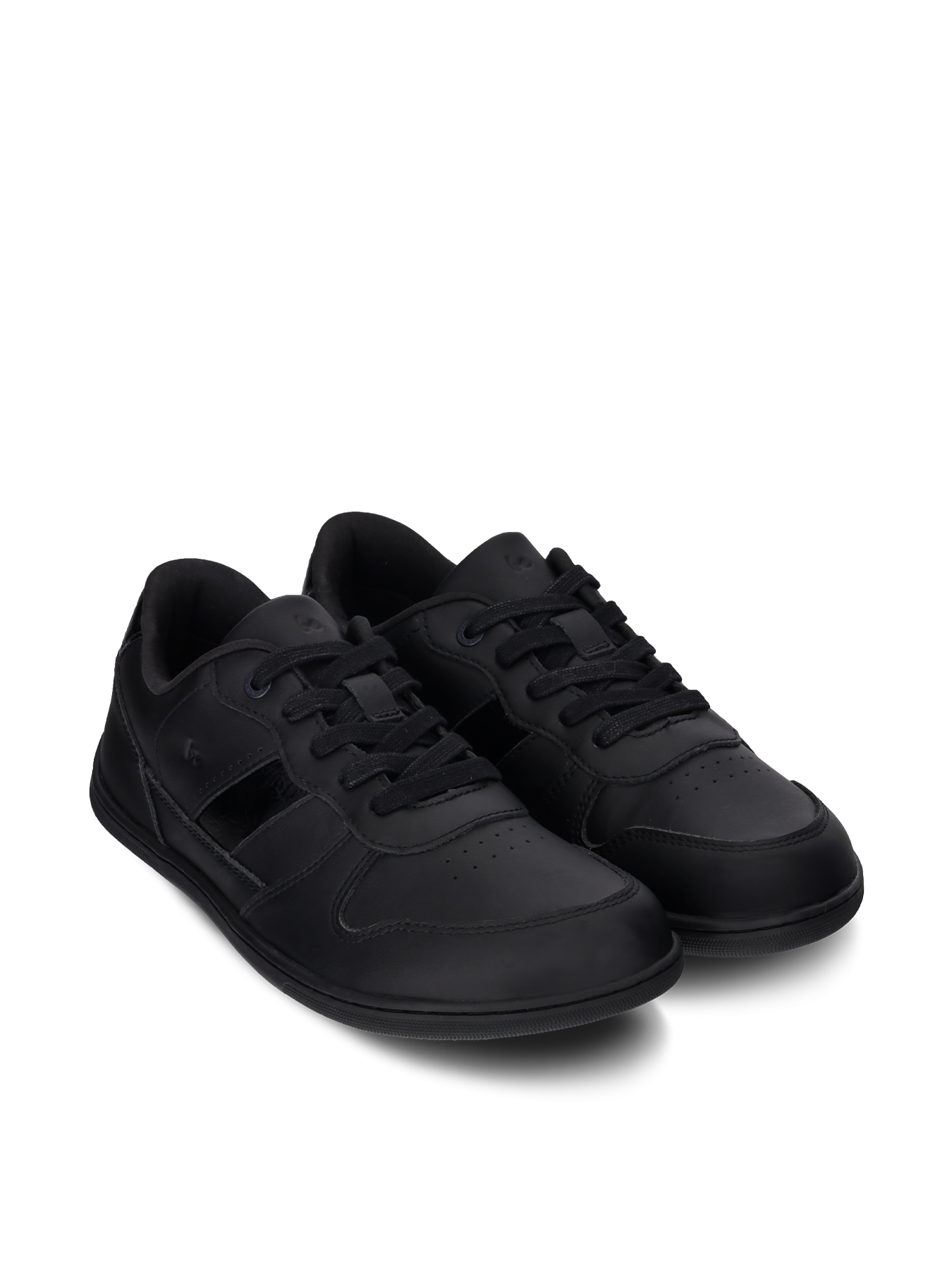 Black & Shiny Black