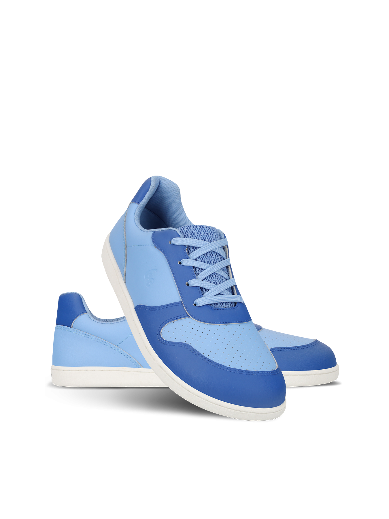 Light & Royale Blue
