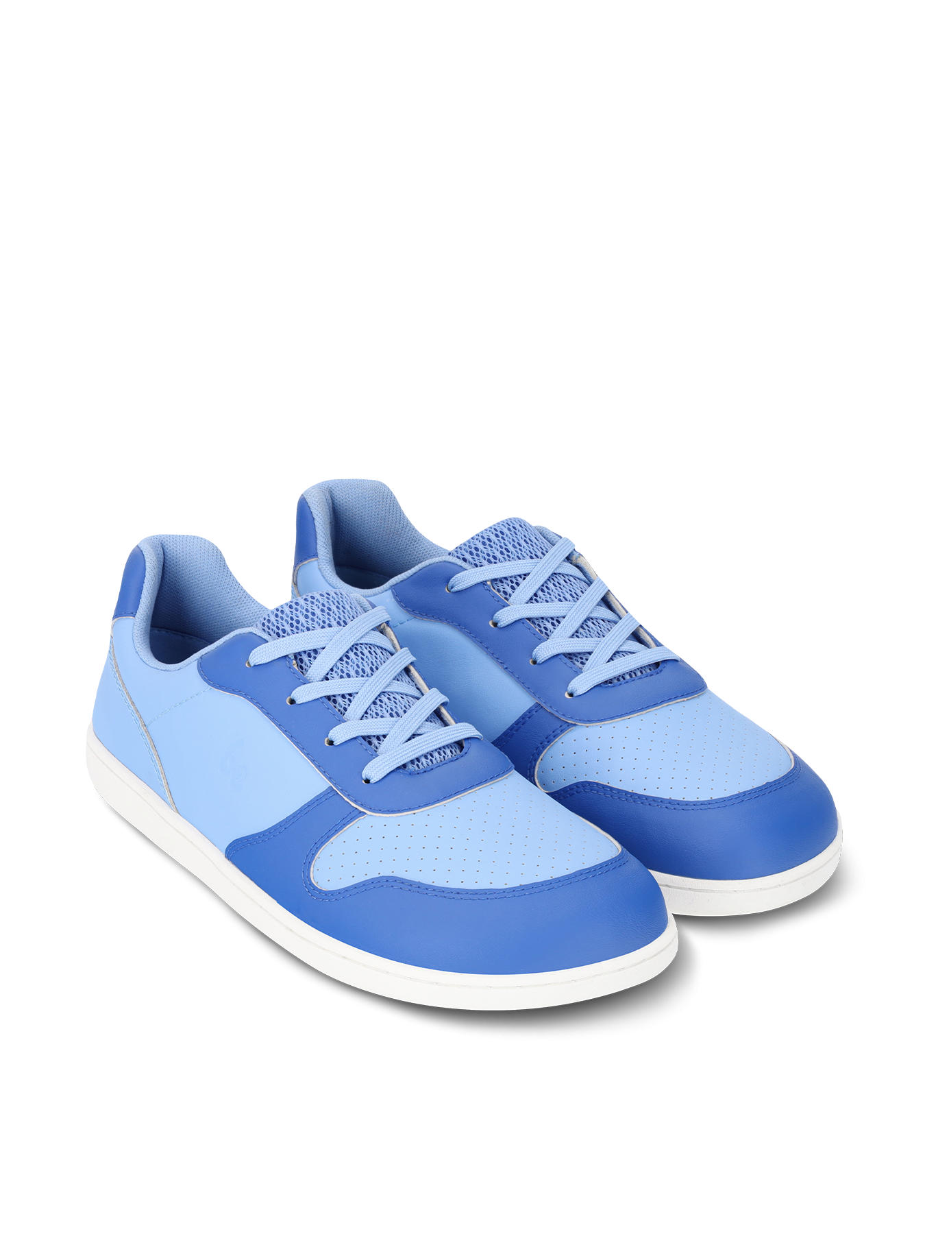 Light & Royale Blue