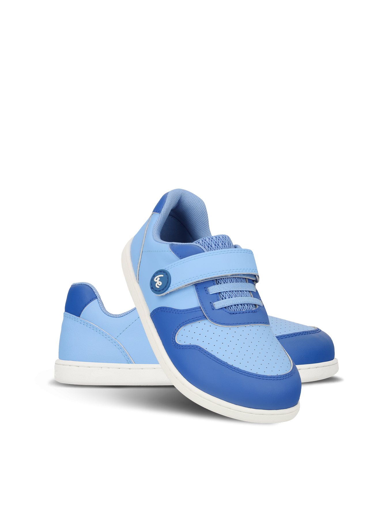 Light & Royale Blue