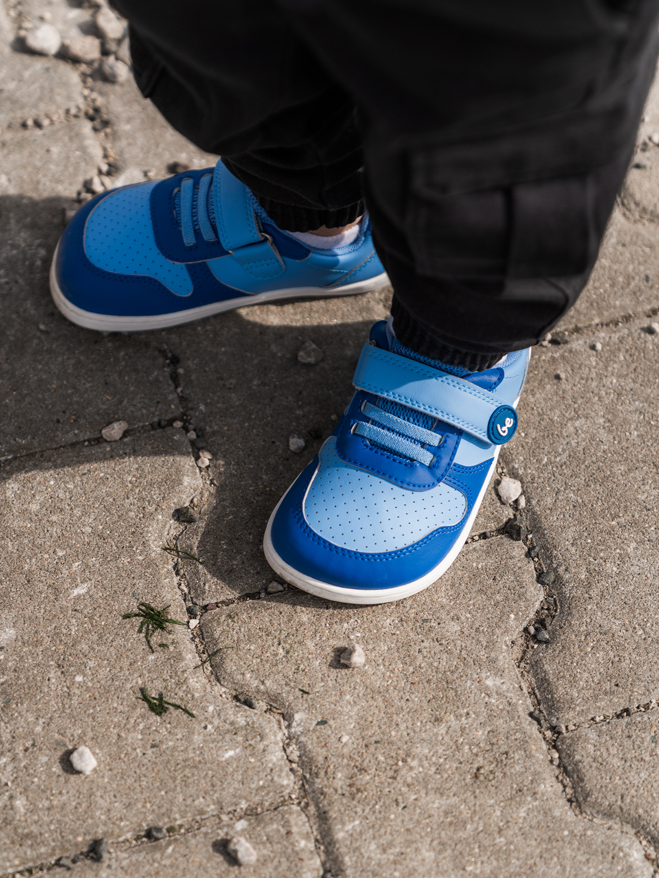 Light & Royale Blue
