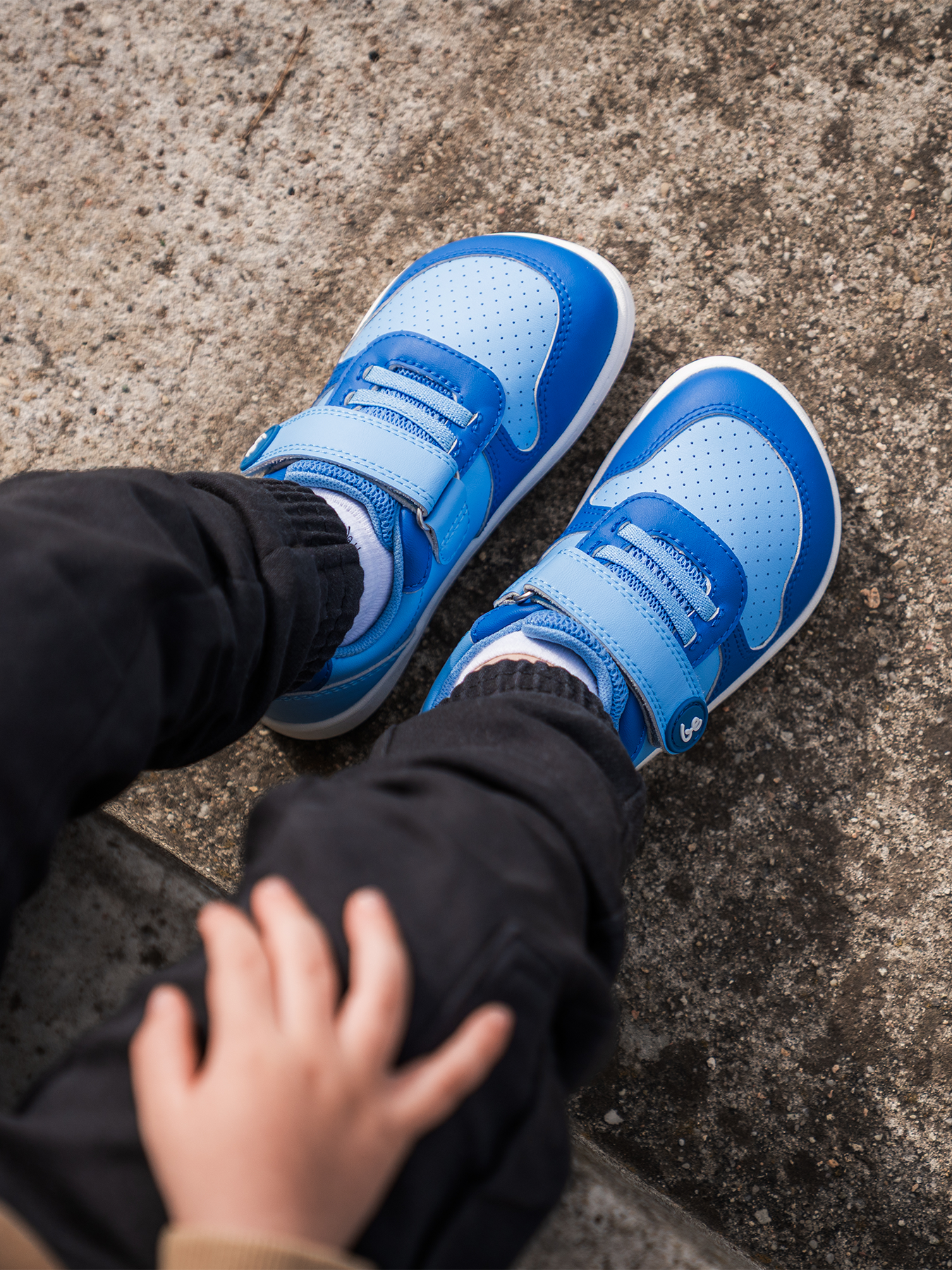 Light & Royale Blue